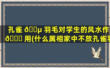 孔雀 🌵 羽毛对学生的风水作 🍁 用(什么属相家中不放孔雀羽毛)